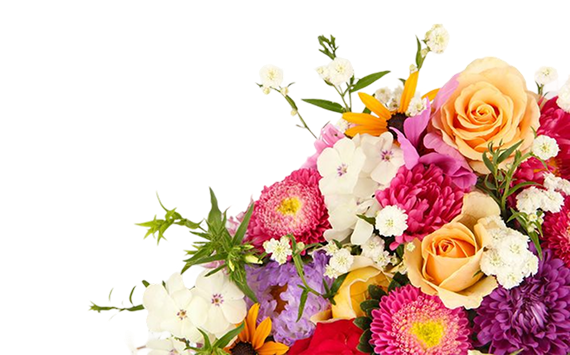 Hero Flowers Picture